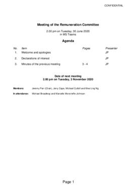 2020-06-30_RemCo_MainPapersPack_WithoutVC.pdf