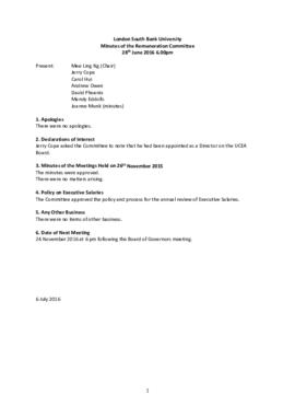 28 June 2016 Remuneration Committee minutes.pdf